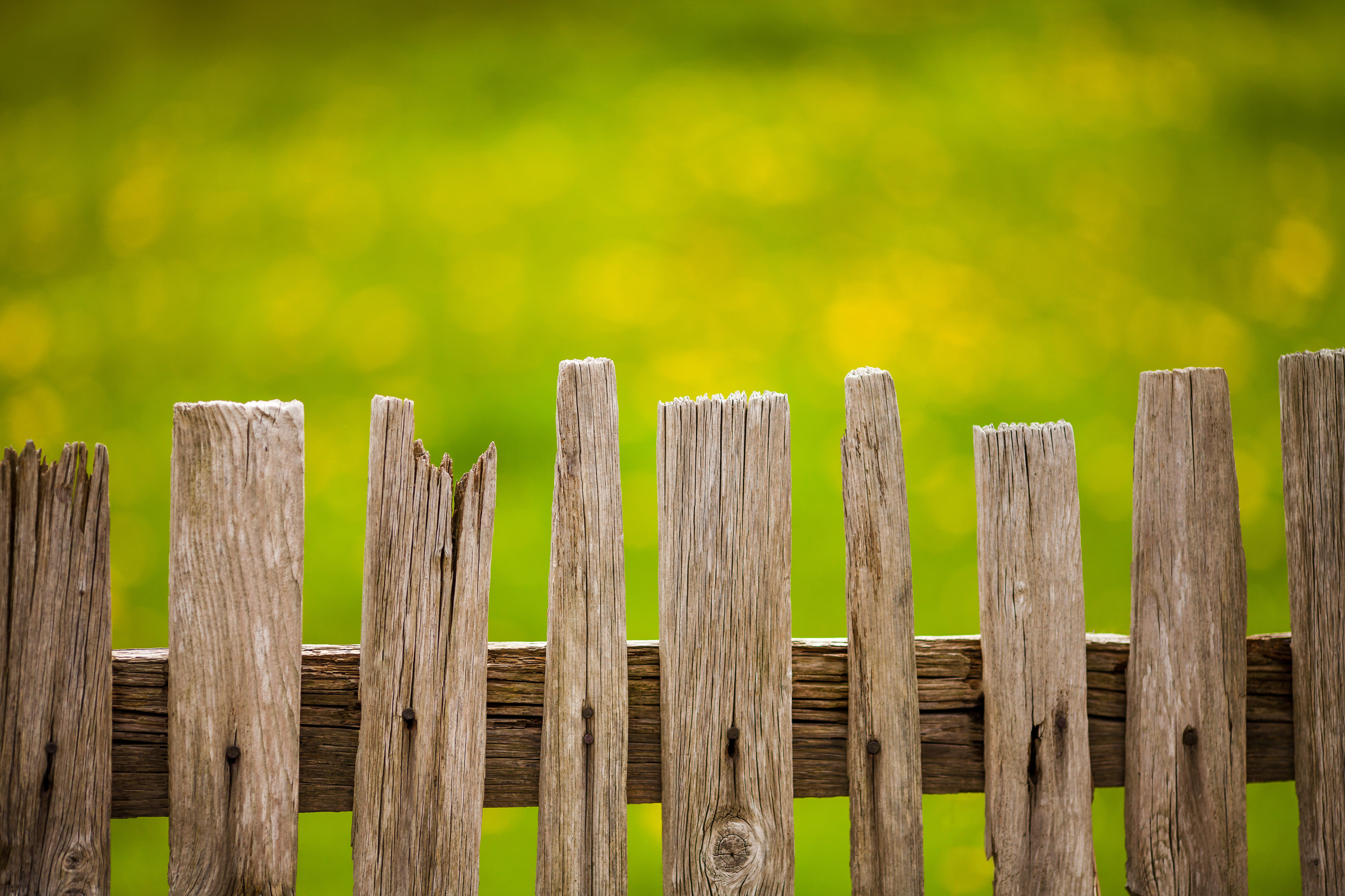 old-wood-fence-garden (1)
